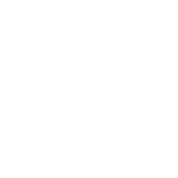 WAVE Logo